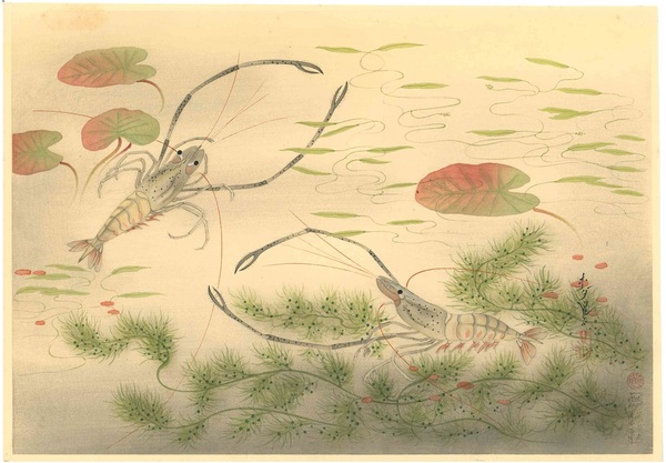 大野麦風　大日本魚類画集　テナガエビ